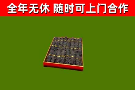 康平回收海参